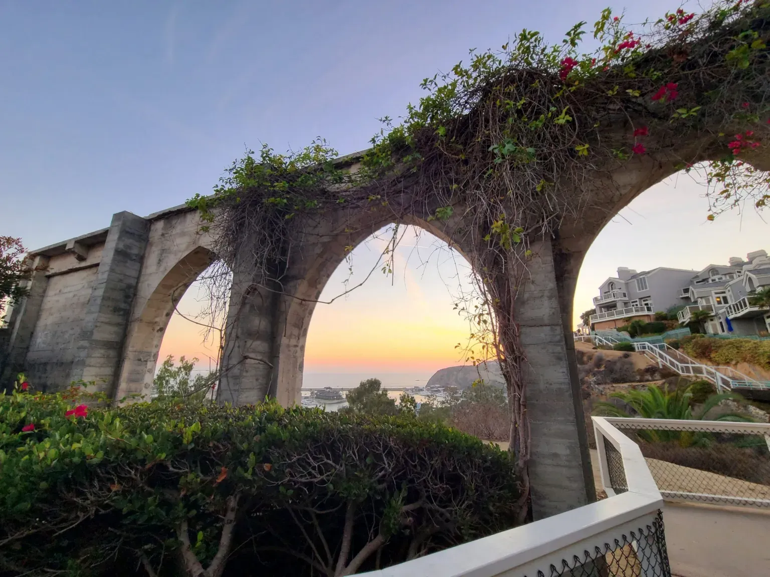 Stone arches on the bluff, overgrown with flowering vines, at sunset